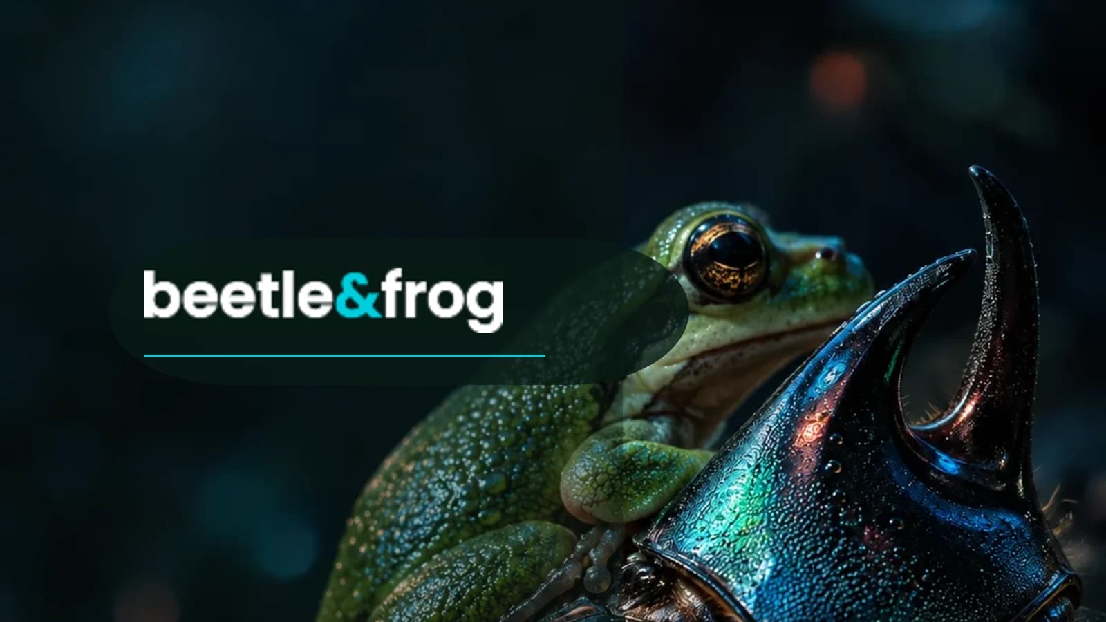 Beetle & Frog